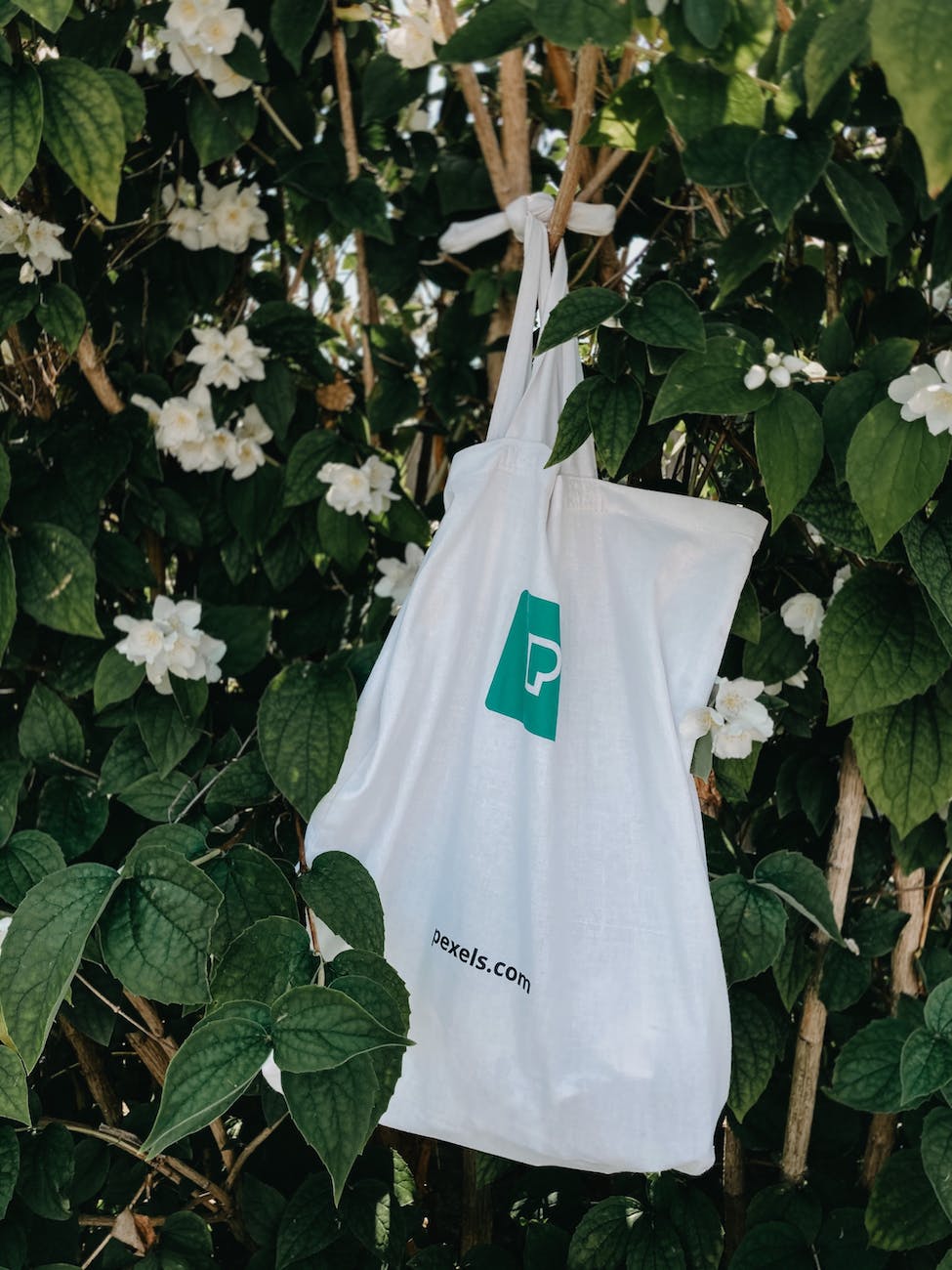 cotton bag hanging on tree